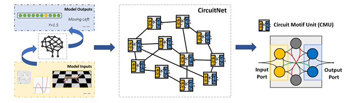 图2：CircuitNet 架构