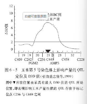 数量性状基因座QTL及其作图