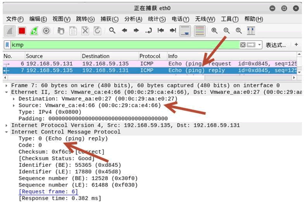 30 伪造ICMP数据包的Ethernet层