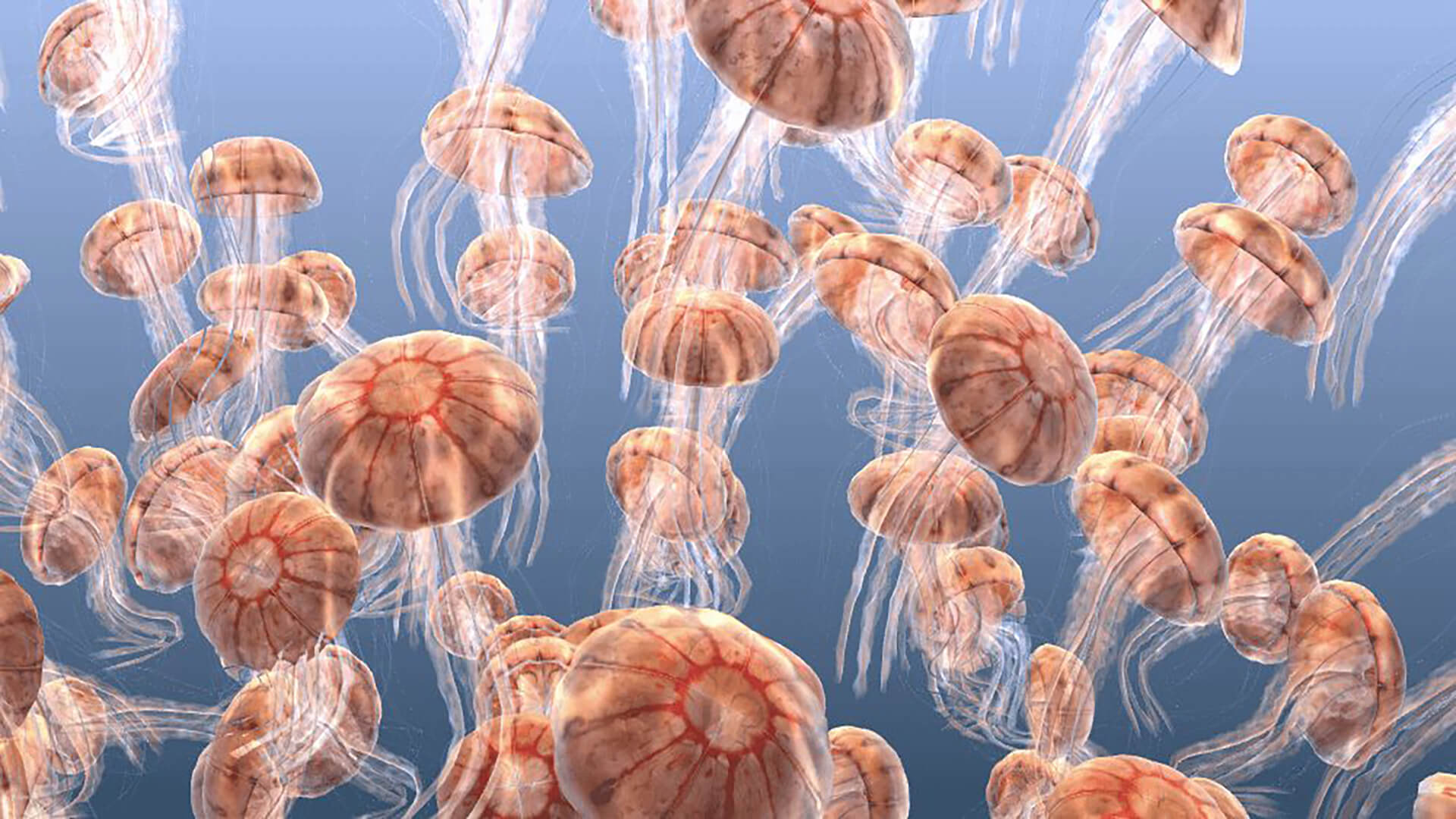 WebGL jellyfish