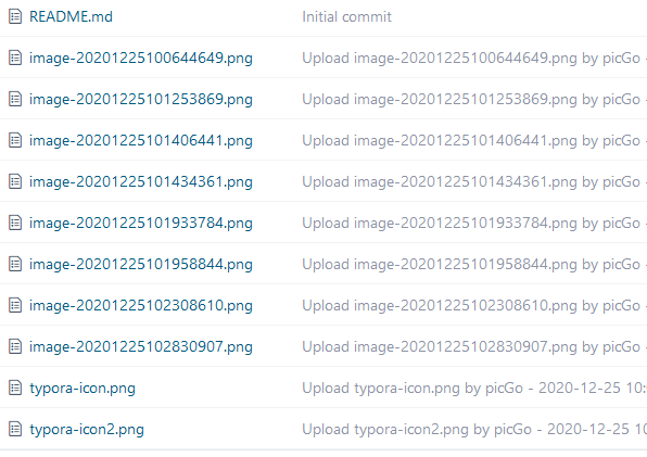 image-20201225103007863