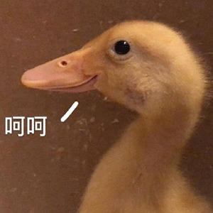 dovis是什么意思duck不必什么梗李佳琦放过鸭子吧表情包