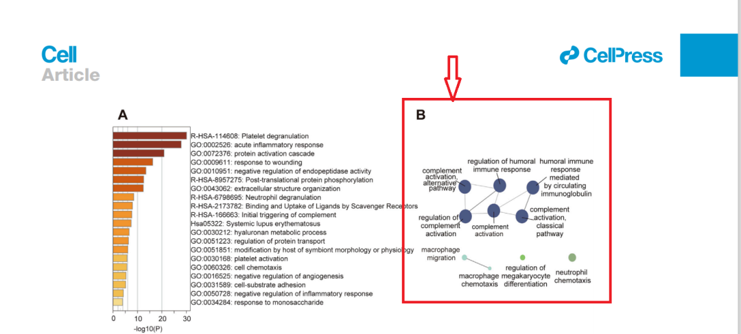 cluego cytoscape tutorial