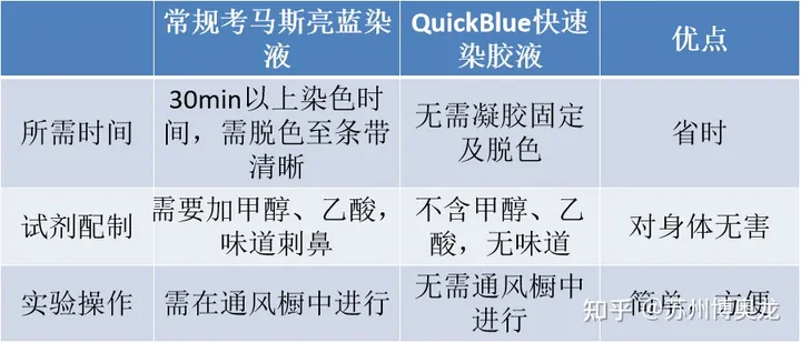 不会吧,蛋白质染色你还在用考马斯亮蓝?_蛋白放错脱色液-CSDN博客