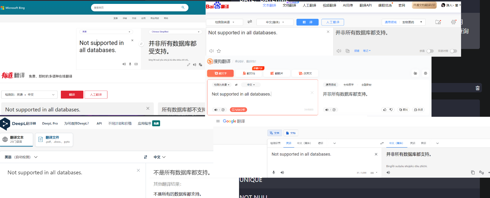 翻译结果