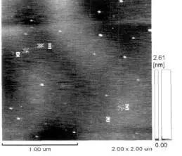 原子力显微镜在材料科学研究中的应用（一）