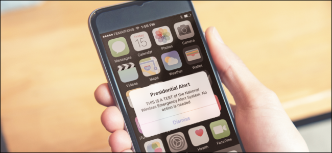 person holding phone showing a presidential alert