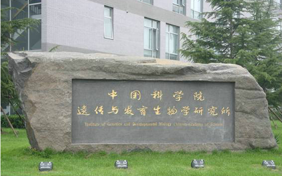 好消息,中科院遗传发育所王秀杰研究组招聘实验技术人员-CSDN博客
