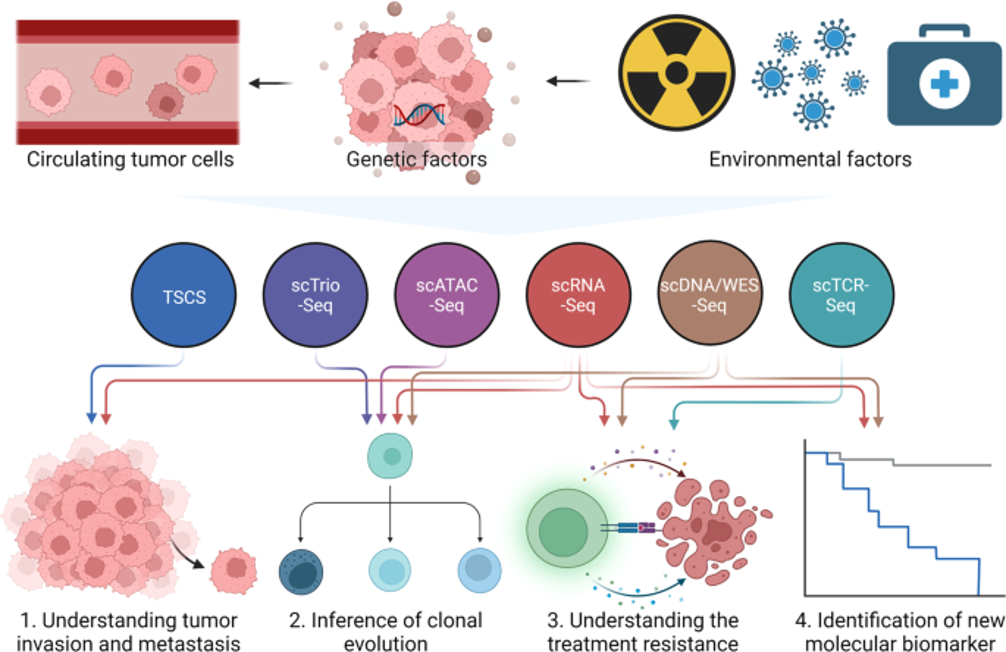 (Ref: Jia et al, Signal Transduction and Targeted Therapy, 2022)