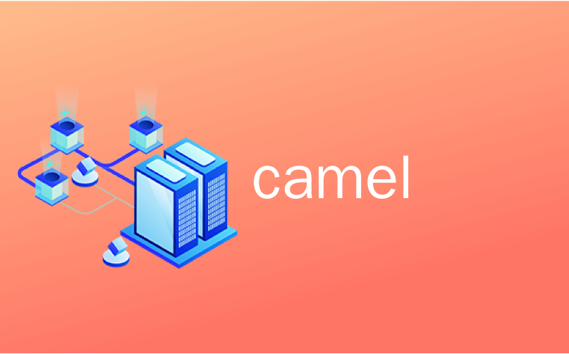 camel