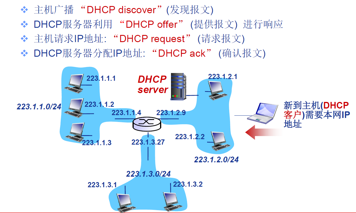 动态主机配置协议(DHCP)