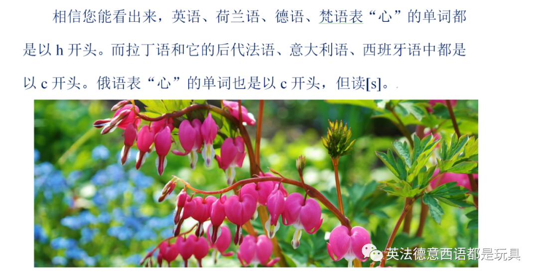 En开头的单词 大道至简 为什么记英语单词要先了解从拉丁语到法语的读音变化 Weixin 的博客 Csdn博客