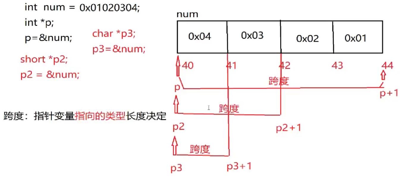 指针变量跨度