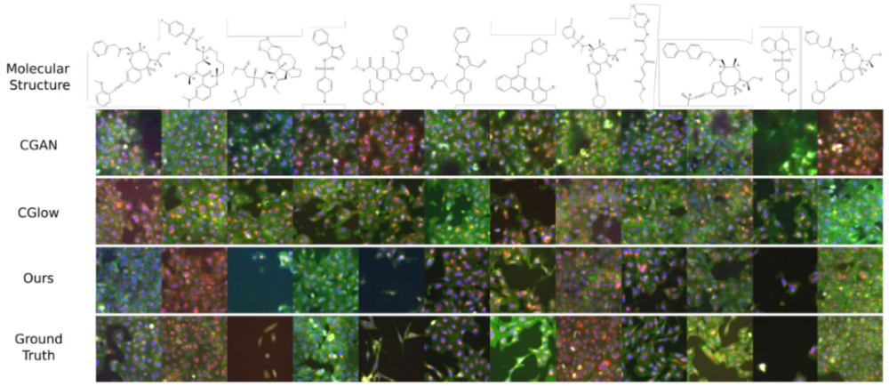 Mol2Image: Improved Conditional Flow Models for Molecule to Image Synthesis