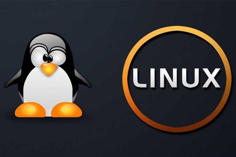 Linux系统的用途