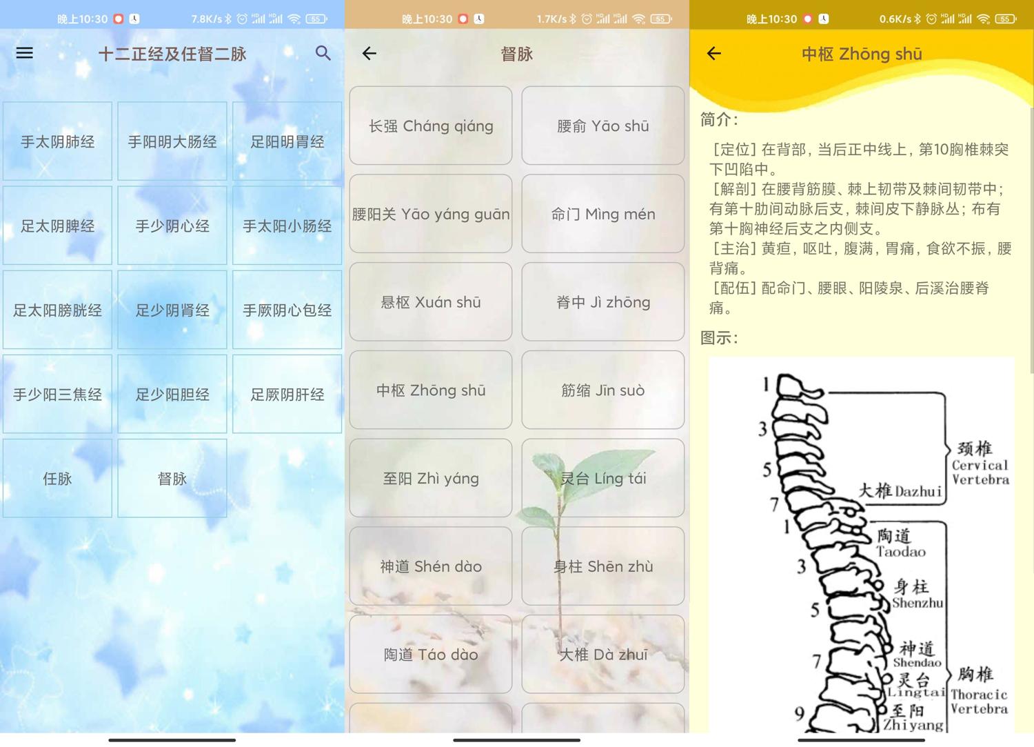 穴位大揭秘：使用「人体穴位图解」，轻松学会精准按摩技巧