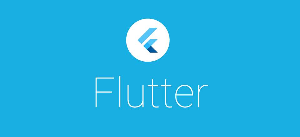 flutter doctor一直等待_flutter应用开发之第一步(踩坑记)