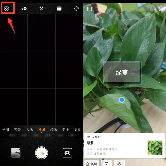 1,一键识别物品