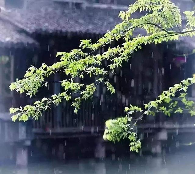 小樓一夜聽風雨宋朝最具哲理的一首聽雨詞三場雨聽盡了一生的悲歡