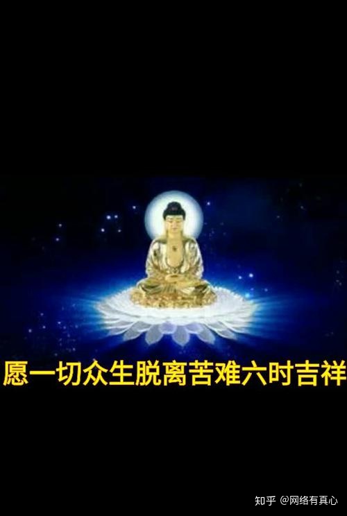 真实经历告诉你!