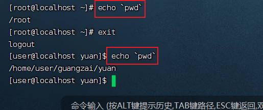 image-20230109234019709