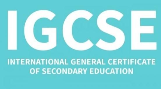 GCSE英语语言考试-角色定位