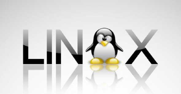 linux中ld的作用,在linux中ls -ld 是什么意思
