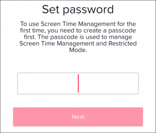 The "Set Password" section.