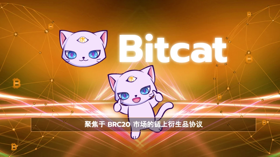 一文解析 Copycat Dex与 Bitcat Dex的区别