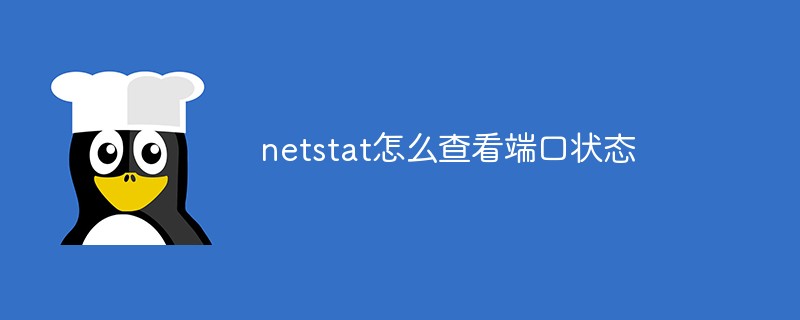 php查netstat,netstat怎么查看端口状态