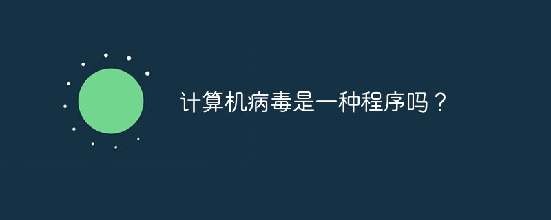 计算机病毒计算机中的程序是吗,计算机病毒是一种程序吗？