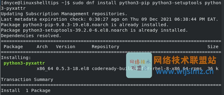 在 RHEL 中安装 Python PIP