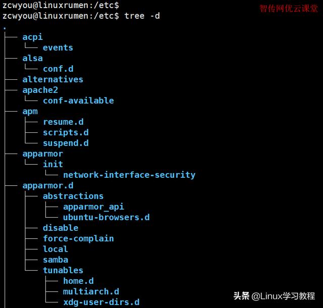 Linux tree 命令详细使用说明