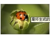 573d8ae66fe175191271d286610c9f83.png