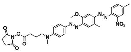 深紫色粉末BHQ-1 NHS，916753-61-2，NHS修饰是合成后与一个伯氨基的共轭