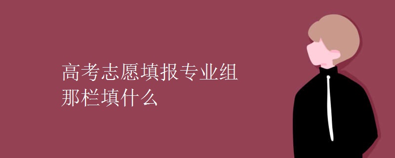 高考志愿计算机专业组,高考志愿填报专业组那栏填什么