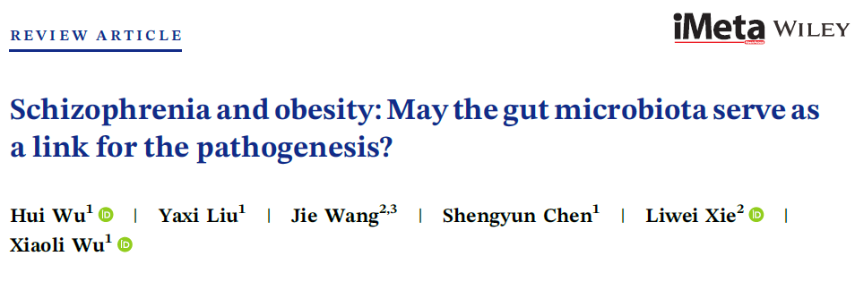 Schizophrenia and obesity: May the gut microbiota serve as a link for the  pathogenesis? - Wu - 2023 - iMeta - Wiley Online Library