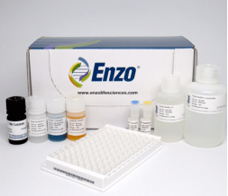 ENZO热销产品——Insulin（胰岛素）ELISA kit