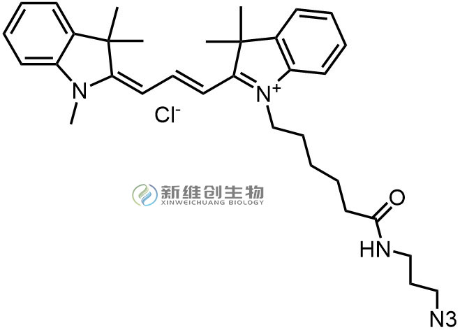 CY3-N3.jpg