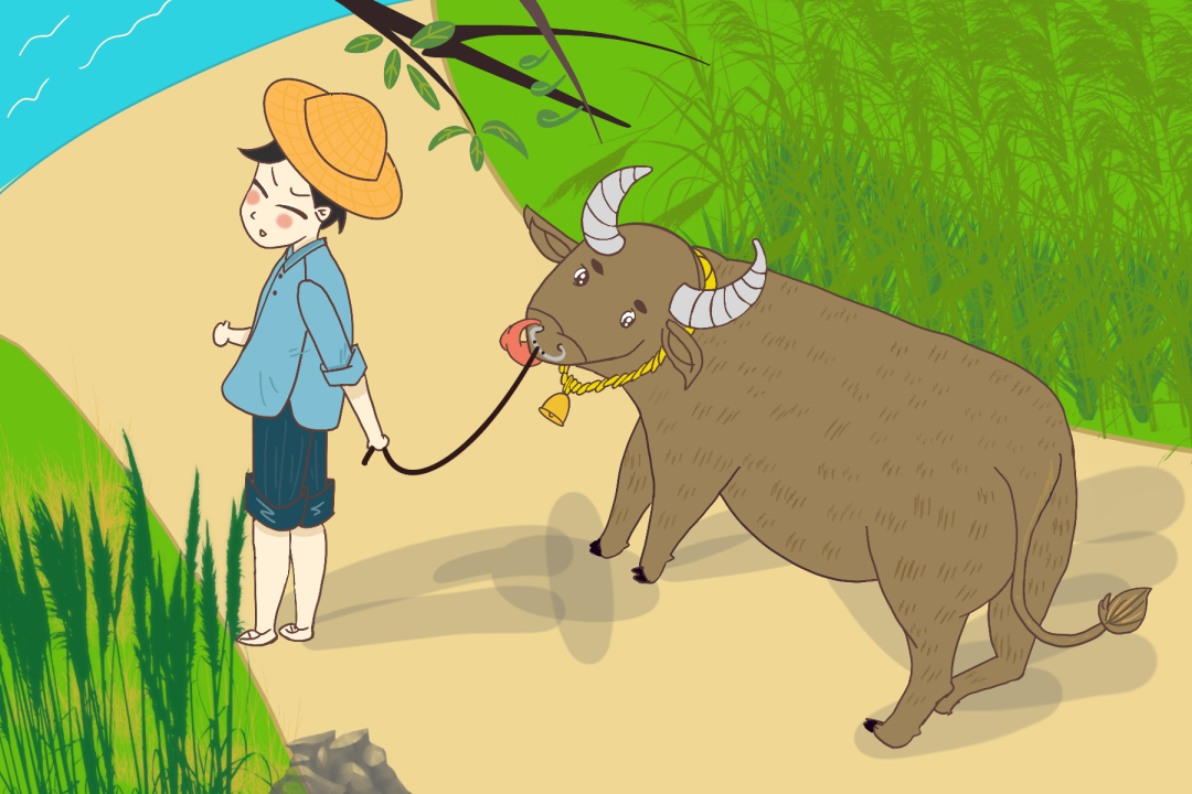 在我们农村,需要养牛来耕田,但不可能每家都养一头牛,那样成本就太大