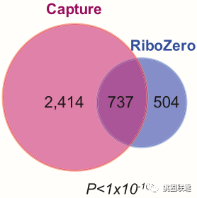 58b0fb614c594c360fbdadba565c012d.png