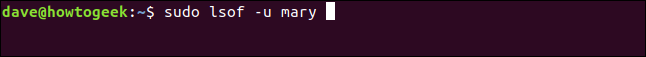 sudo lsof -u mary in a terminal window