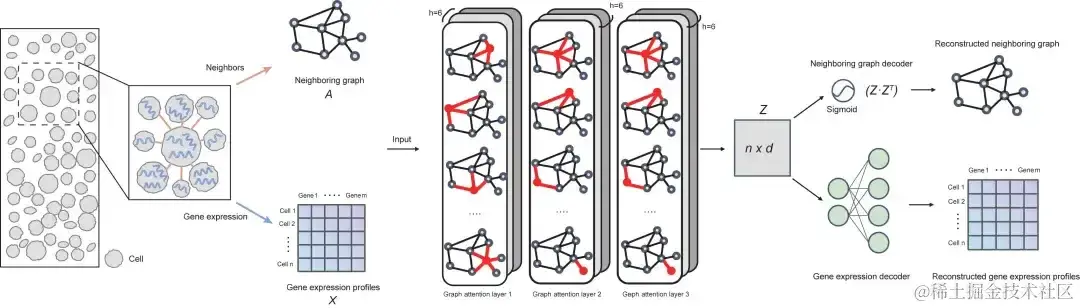 登 Cell 子刊！清华大学张强锋课题组开发 SPACE 算法，组织模块发现能力领先同类工具_生命科学_02