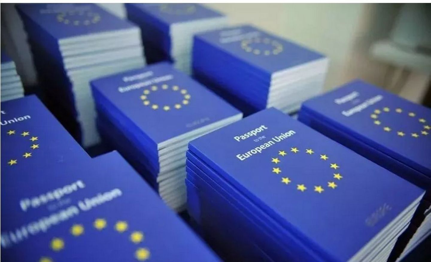 蓝卡在哪里_什么是蓝卡,魅力在哪里,让申请者为之着迷?