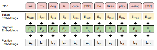 Bert input composition