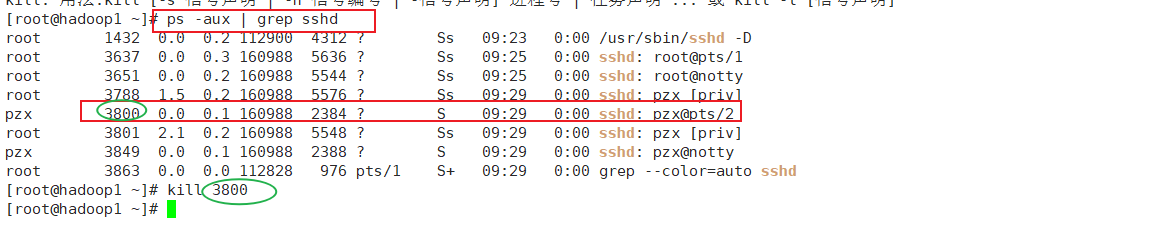 image-20210620093212557