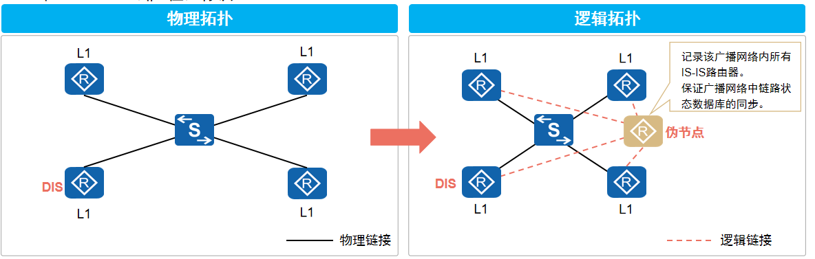 DIS与伪节点