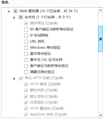 IIS服务器发布ASP.NET项目_服务器_09