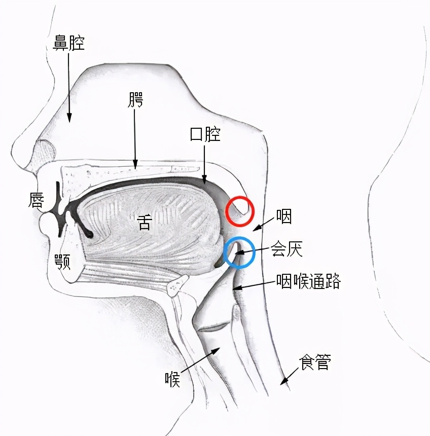 没想到,救我一命的竟然是北京程序员的一篇文章