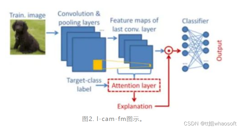 类激活方法_深度学习_03